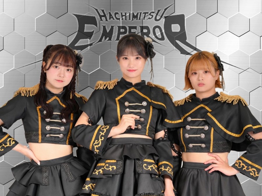 岐阜発メルヘンロックアイドル『蜂蜜★皇帝』メンバー募集